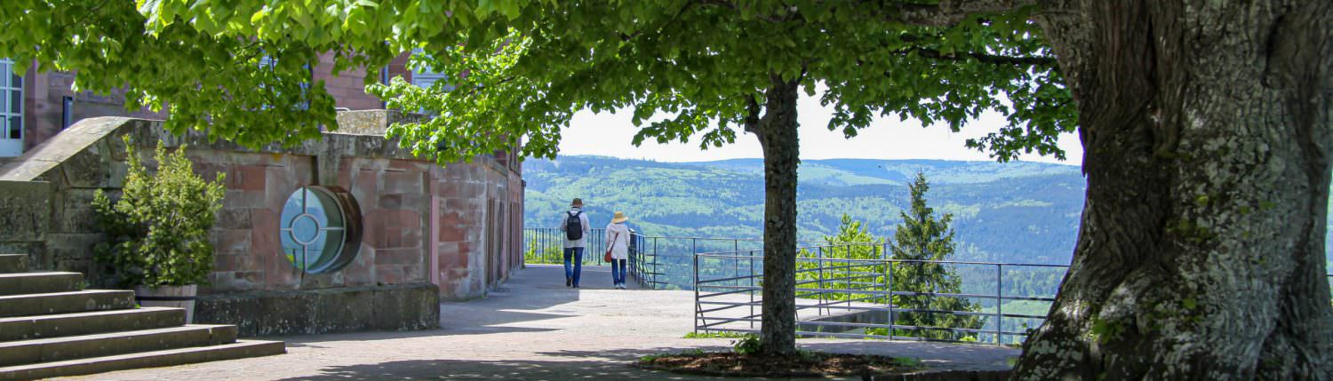 D'Alsace et d'ailleurs