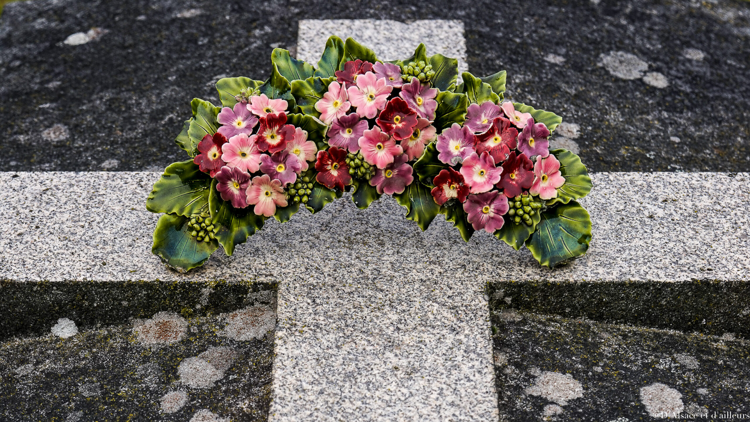 alt="Bouquets de primevères, symboles de jeunesse, de renouveau - Cimetière de Châtellerault © Corinne Longhi"