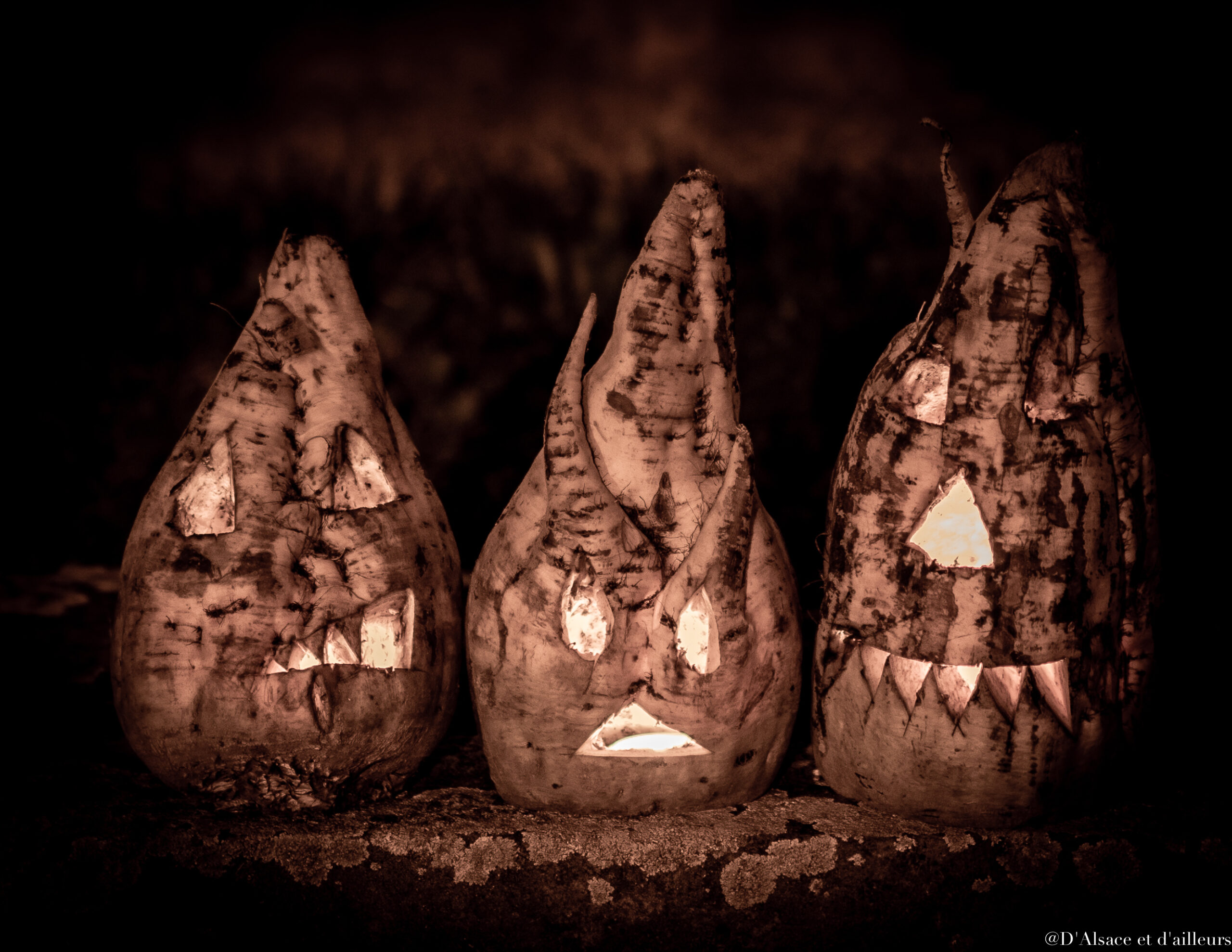alt="Lanternes- betteraves fourragères © Corinne Longhi © D'Alsace et d'ailleurs"