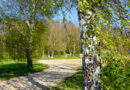 Balade entre Oberhausbergen et Dingsheim ; du Fort Frère au Waldbruder – Bas-Rhin